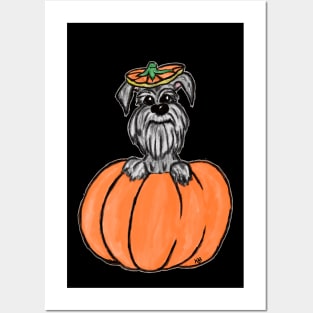 Schnauzer in a Pumpkin Posters and Art